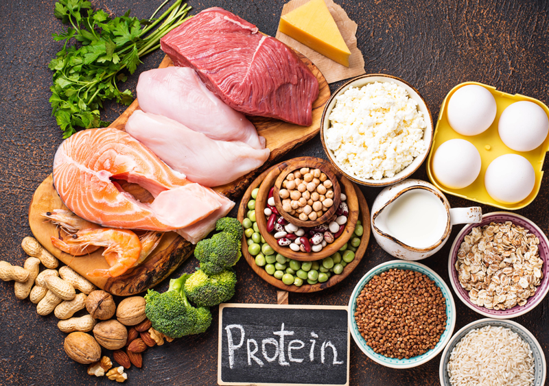 proteini proteini
